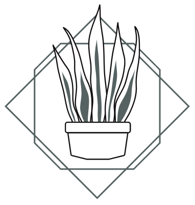 Sansewieria.pl – Wsparcie IT